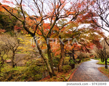 以日本最早開花的梅花而聞名的恩施熱海梅園的秋葉 97410049