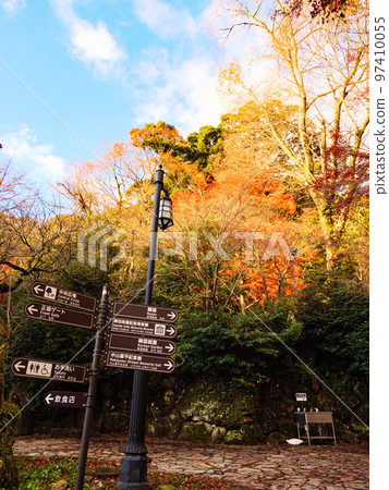 Autumn foliage at Onshi Atami Plum Garden, famous for its plum blossoms that bloom the earliest in Japan Autumn foliage at Onshi Atami Plum Garden, famous for its plum blossoms that bloom the earliest in Japan 97410055