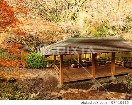 以日本最早開花的梅花而聞名的恩施熱海梅園的秋葉 以日本最早開花的梅花而聞名的恩施熱海梅園的秋葉 97410115