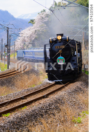 D51 498 櫻花背景奔跑 D51 498 櫻花背景奔跑 97410564