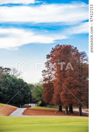 《Aichi Prefecture》Owariasahi City Autumn Aichi Prefectural Forest Park 《Aichi Prefecture》Owariasahi City Autumn Aichi Prefectural Forest Park 97412153