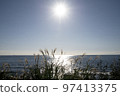 Uchibo's sea and pampas grass, Chiba Prefecture 97413375