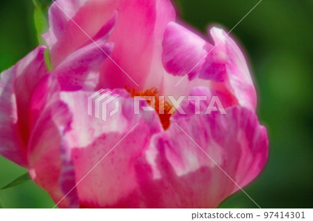 房子周圍的花 房子周圍的花 97414301