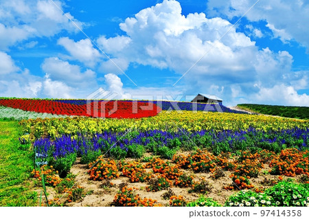 Summer Hokkaido Kanno Farm（北海道上富良野市） 97414358