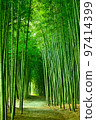 竹林小直徑 97414399
