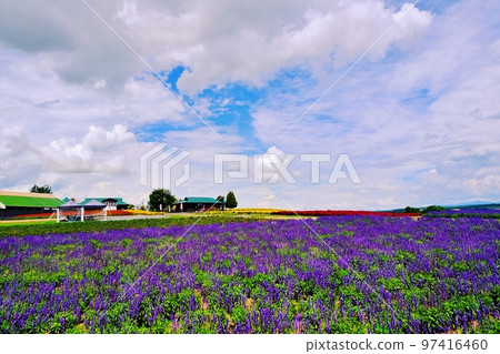 Flower Land Kamifurano (Kamifurano, Hokkaido) Flower Land Kamifurano (Kamifurano, Hokkaido) 97416460
