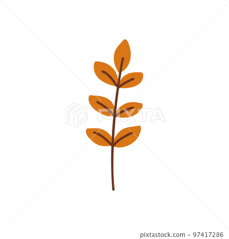 Autumn leaves. Foliage leaf silhouette. Forest vector illustration. 97417286