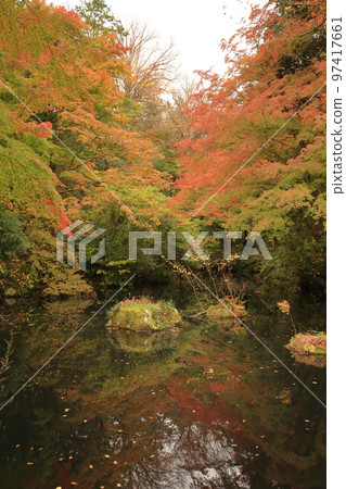 武藏野ryo秋葉 武藏野ryo秋葉 97417661