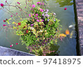 用鮮花的風景 97418975
