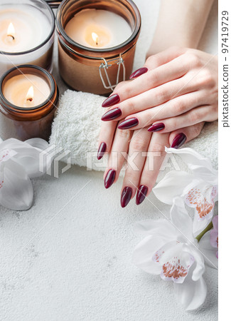 Hands of a young woman with dark red manicure on nails 97419729