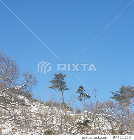冬季景觀 冬季景觀 97421130