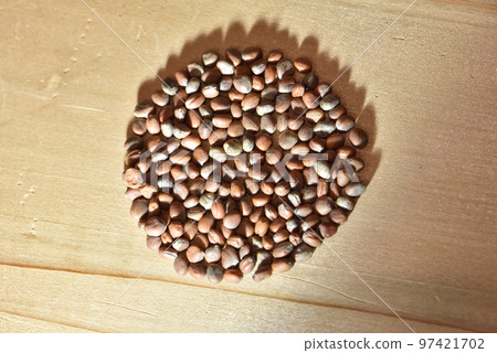 Kitchen garden radish seeds Kitchen garden radish seeds 97421702