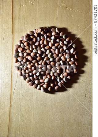 Kitchen garden radish seeds Kitchen garden radish seeds 97421703