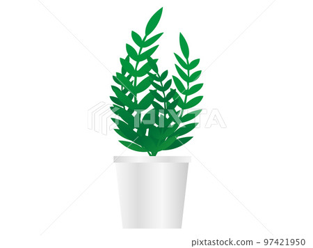 Foliage plant Foliage plant 97421950