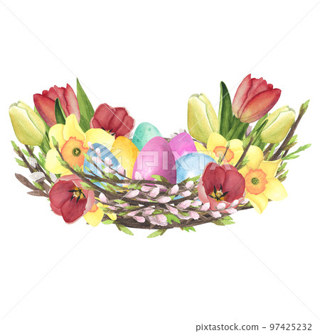 Willow nest watercolor with Tulips, daffodil, colored eggs isolated on white. Hand drawing Easter illustration design 97425232