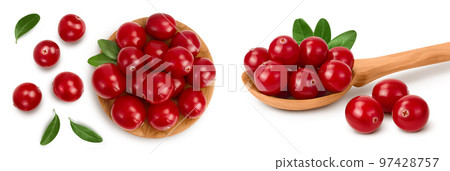 Cranberry in wooden bowl isolated on white background with full depth of field. Top view. Flat lay Cranberry in wooden bowl isolated on white background with full depth of field. Top view. Flat lay 97428757