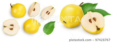 Fresh quince with half and slices isolated on the white background with full depth of field. Top view. Flat lay Fresh quince with half and slices isolated on the white background with full depth of field. Top view. Flat lay 97428767