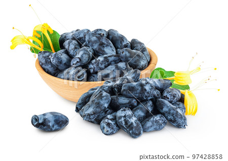 Fresh honeysuckle blue berry in wooden bowl isolated on white background with full depth of field Fresh honeysuckle blue berry in wooden bowl isolated on white background with full depth of field 97428858