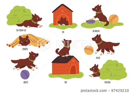 Kids English prepositions. Childish education. Cute puppy with objects. Dog plays with ball. Animal eats and sleeps in booth. Language vocabulary learning. Pet positions. Garish vector set 97429210