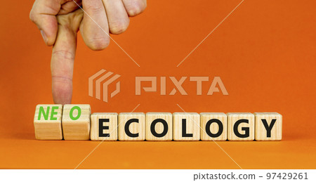 Neo-ecology or ecology symbol. Concept words Neo-ecology or ecology on wooden cubes. Businessman hand. Beautiful orange background. Business, ecological neo-ecology or ecology concept. Copy space. 97429261