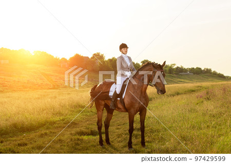Equestrian sport. Young woman riding horse on dressage advanced test Equestrian sport. Young woman riding horse on dressage advanced test 97429599