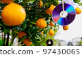 Summer mandarin oranges and pest control in the winter harvest season 97430065