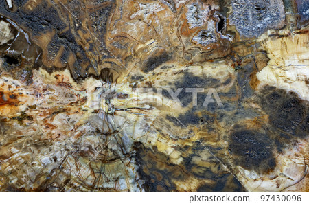 Beautiful petrified wood abstract pattern Beautiful petrified wood abstract pattern 97430096