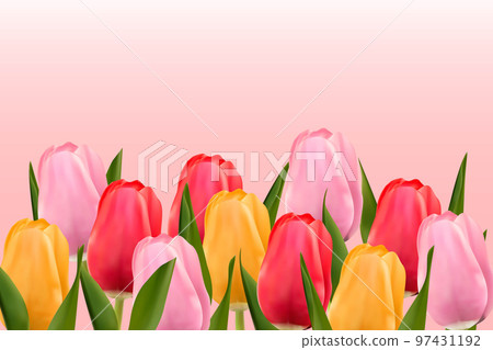 Multicolored tulips on a light pink background with copy space. Vector image. 97431192