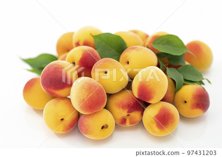 Nanko Ume yellow colored with white background 97431203