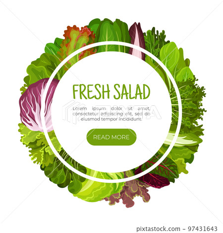 Fresh Salad Leaves Design with Green Vegetables Vector Template 97431643