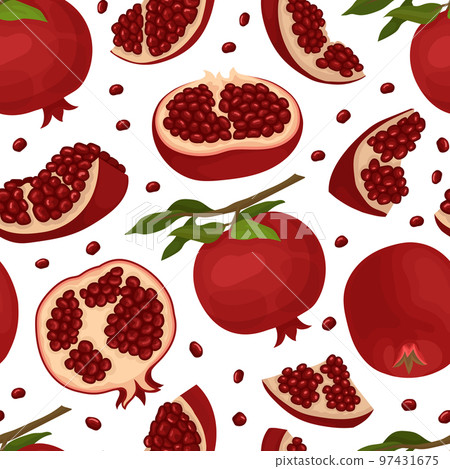 Red Pomegranate Seamless Pattern Design with Ripe Fruit with Seeds Vector Template Red Pomegranate Seamless Pattern Design with Ripe Fruit with Seeds Vector Template 97431675