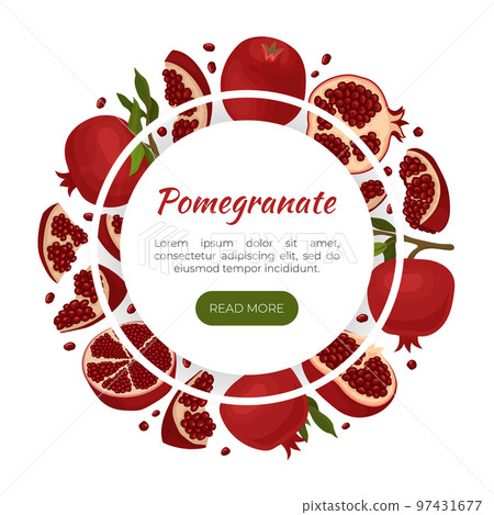 Red Pomegranate Design with Ripe Fruit with Seeds Vector Template 97431677