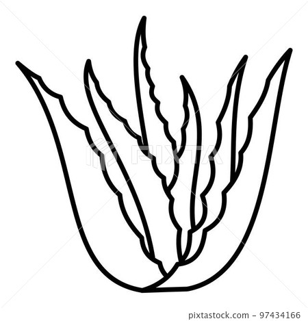 Aloe vera plant icon. Outline illustration of aloe vera plant vector icon for web design isolated on white background 97434166