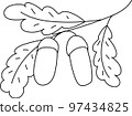 autumn vector illustration contour branch of acorns with leaves 97434825