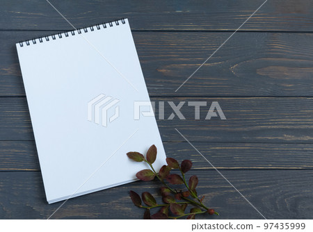 A clean white notebook page with a twig on a wooden background. Space for text. A clean white notebook page with a twig on a wooden background. Space for text. 97435999