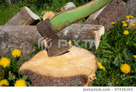 Harvesting firewood for heating houses in the cold season, a large axe. Winter in Europe. Harvesting firewood for heating houses in the cold season, a large axe. Winter in Europe. 97436163