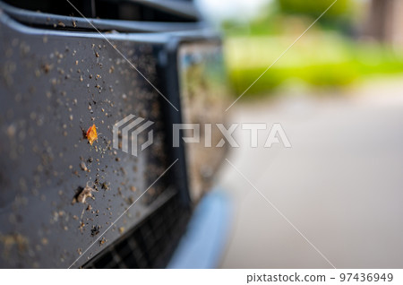 Selective focus on dead bugs splattered to the front grill and plates of a vehicle Selective focus on dead bugs splattered to the front grill and plates of a vehicle 97436949