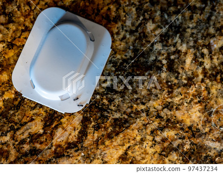 Ant trap poison bate on a granite kitchen countertop 97437234