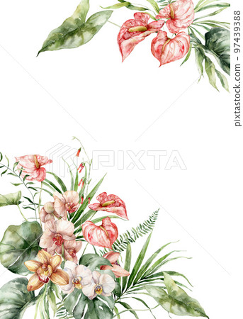 Watercolor tropical flowers border of orchid, monstera and anthurium. Hand painted floral frame isolated on white background. Holiday Illustration for design, print, fabric or background. 97439388