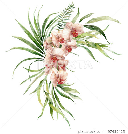 Watercolor tropical flowers bouquet of orchids, fern and liana. Hand painted floral poster isolated on white background. Holiday Illustration for design, print, fabric or background. Watercolor tropical flowers bouquet of orchids, fern and liana. Hand painted floral poster isolated on white background. Holiday Illustration for design, print, fabric or background. 97439425