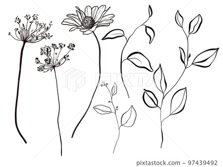 Line art autumn set of dry branches, linear leaves and chamomile flowers. Hand painted black plants isolated on white background. Holiday Illustration for design, print, fabric or background. Line art autumn set of dry branches, linear leaves and chamomile flowers. Hand painted black plants isolated on white background. Holiday Illustration for design, print, fabric or background. 97439492