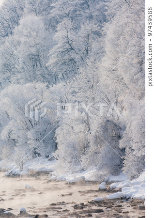 Furano in the harshest winter (The frost-covered trees of the Sorachi River, the world of -20℃)_5867 97439588