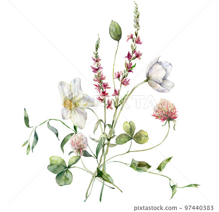 Watercolor meadow flowers bouquet of buttercup, - Stock Illustration  [97440383] - PIXTA