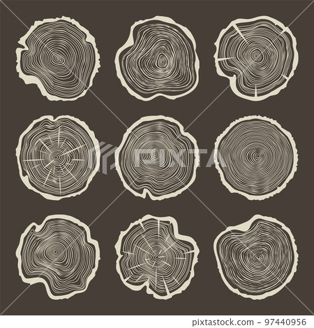 Round tree trunk cuts with cracks, sawn pine or oak slices, lumber. Saw cut timber, wood. Brown wooden texture with tree rings. Hand drawn sketch. Vector illustration 97440956