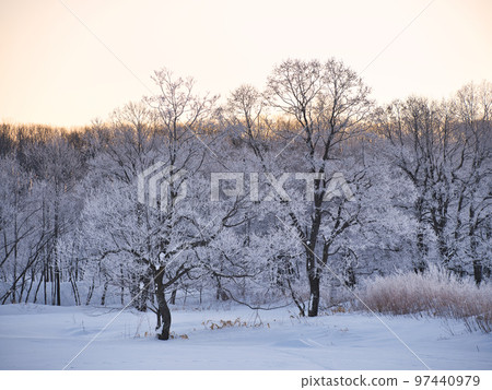 Foggy ice Foggy ice 97440979