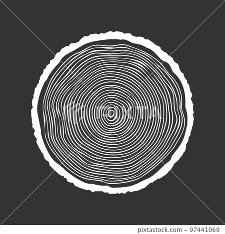 Round tree trunk cut, sawn pine or oak slice. Saw cut timber, wood. White wooden texture with tree rings. Hand drawn sketch. Vector illustration 97441069