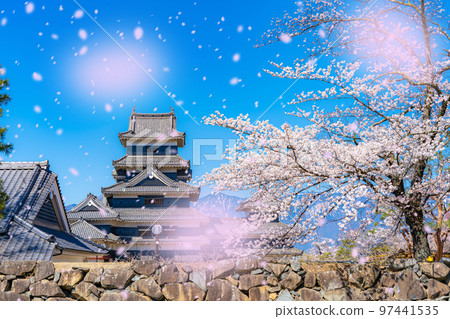 [櫻花暴風雪圖像]櫻花飄落的松本城[長野縣] 97441535