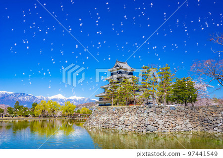 [櫻花暴風雪圖像]櫻花飄落的松本城[長野縣] 97441549