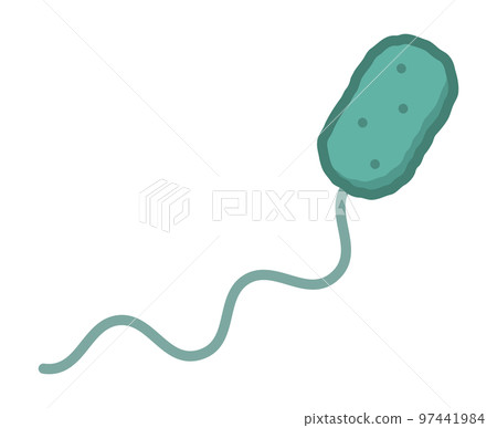 vibrio parahaemolyticus 97441984