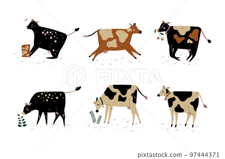 Milk Cow with Udder and Bell Grazing on Pasture as Dairy Cattle Breeding and Farming Vector Set Milk Cow with Udder and Bell Grazing on Pasture as Dairy Cattle Breeding and Farming Vector Set 97444371